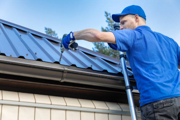 Best Roof Maintenance and Cleaning  in Newberry, MI