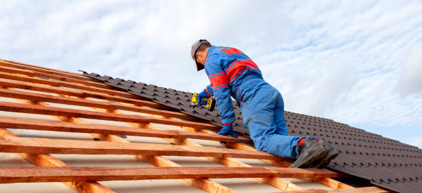 Best Roof Leak Repair  in Newberry, MI