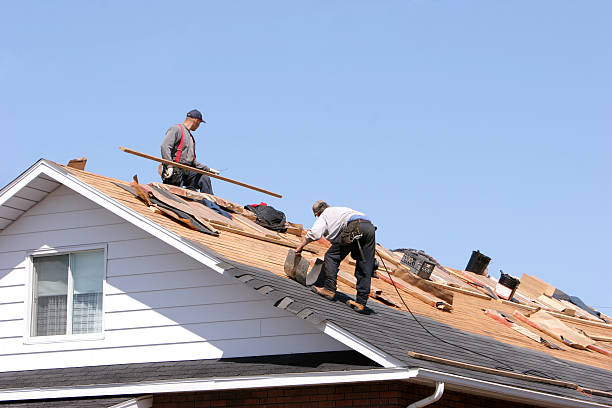 Best Gutter Installation and Repair  in Newberry, MI