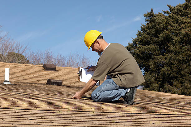 Best Skylight Installation and Repair  in Newberry, MI