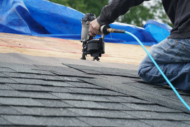 Best Emergency Roof Repair Services  in Newberry, MI