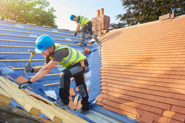 Best Solar Panel Roofing Installation  in Newberry, MI
